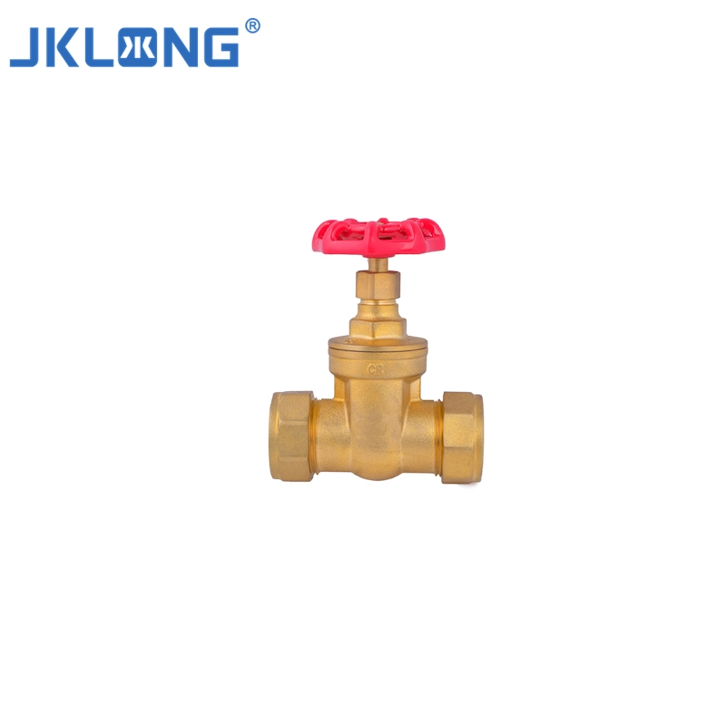 Solenoid Valve 24VDC8 Inch Valve Spring Loaded Valve One Way Check Valvegate_Valve_Priceair_Release_Valvevalve Steam Valve Bag Magnetic Valve Electronic Ex