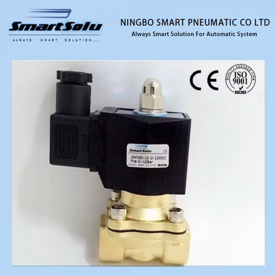 진공 포장 기계 12V 24V 220V용 황동 솔레노이드 밸브